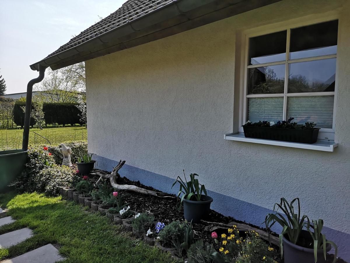 Boddenhus Auf Ruegen - Ferienwohnungen Und Pension Rappin Esterno foto