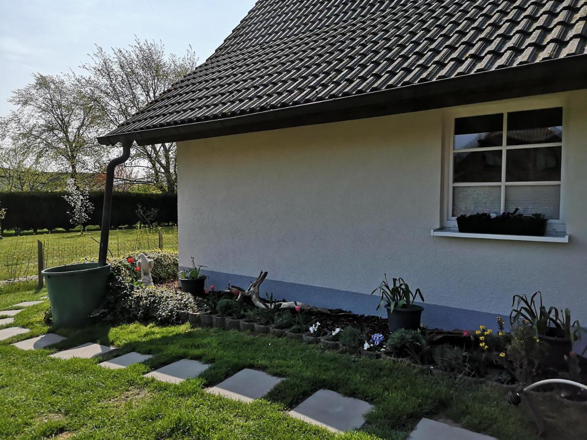 Boddenhus Auf Ruegen - Ferienwohnungen Und Pension Rappin Esterno foto