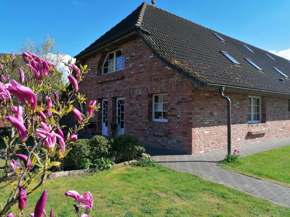 Boddenhus Auf Ruegen - Ferienwohnungen Und Pension Rappin Esterno foto