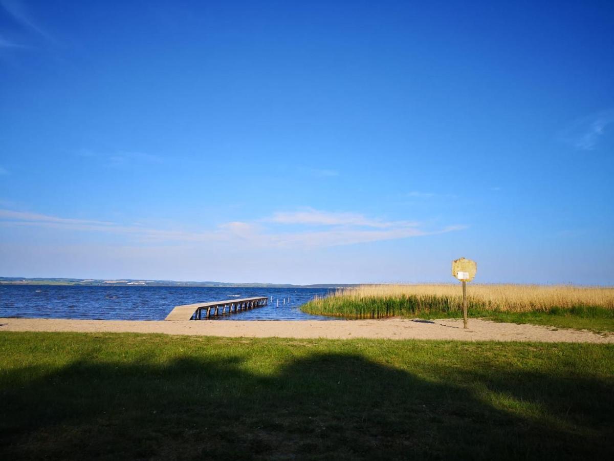 Boddenhus Auf Ruegen - Ferienwohnungen Und Pension Rappin Esterno foto