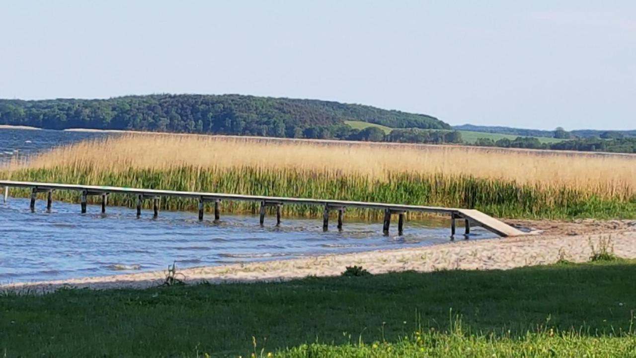 Boddenhus Auf Ruegen - Ferienwohnungen Und Pension Rappin Esterno foto